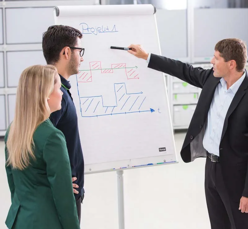 Karriär hos Festool